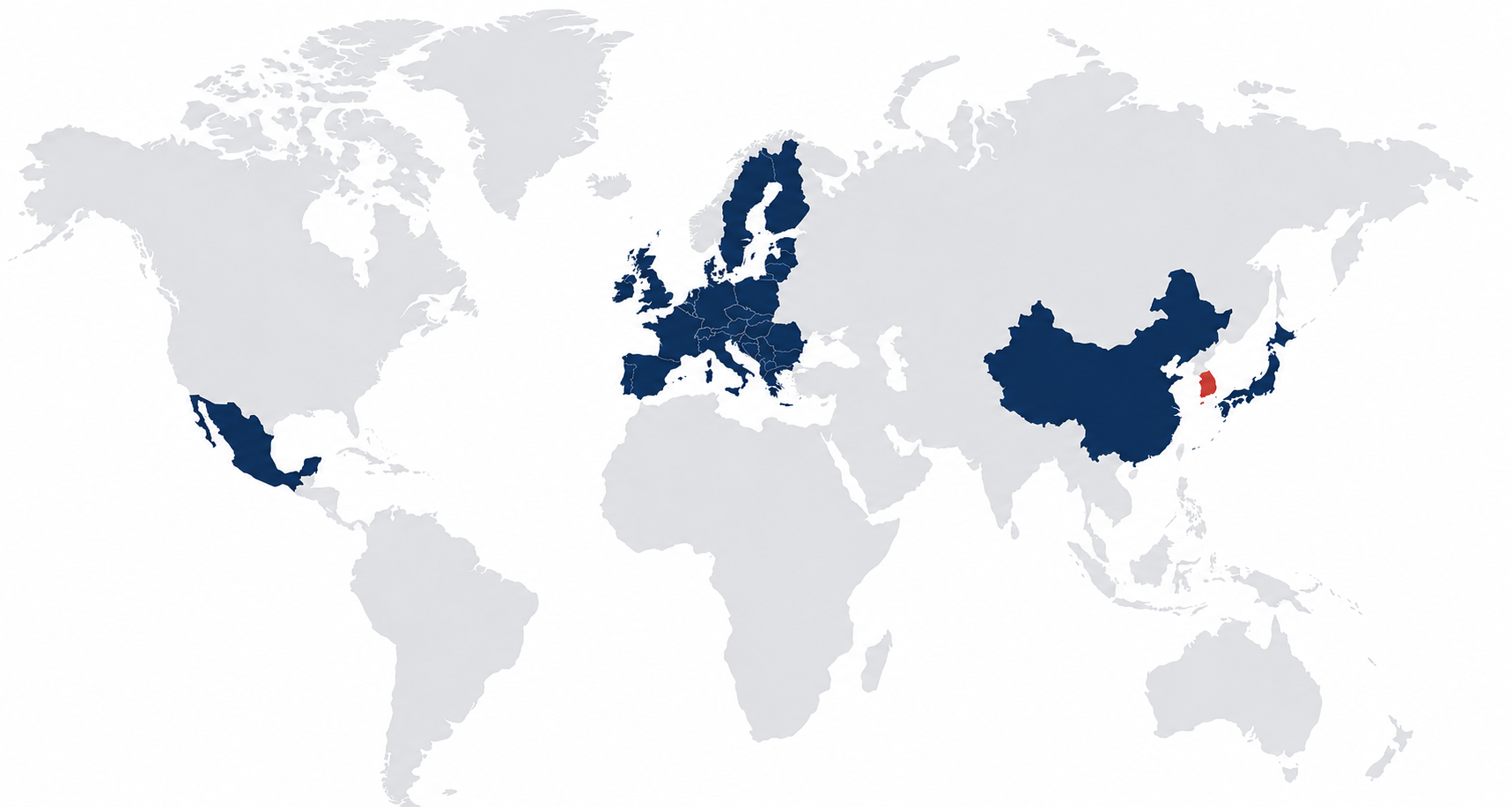 Global Network Map